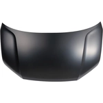 Order Hood Panel Assembly - HO1230197 For Your Vehicle