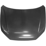 Order Hood Panel Assembly - HO1230199 For Your Vehicle