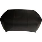 Order Hood Panel Assembly - HO1230200 For Your Vehicle