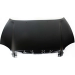 Order Hood Panel Assembly - HY1230120 For Your Vehicle