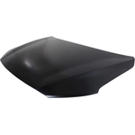 Order Hood Panel Assembly - HY1230168C For Your Vehicle