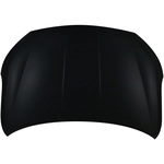 Order Hood Panel Assembly - HY1230177C For Your Vehicle