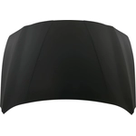 Order Hood Panel Assembly - HY1230183 For Your Vehicle