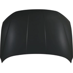 Order Hood Panel Assembly - HY1230186 For Your Vehicle
