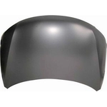 Order Hood Panel Assembly - KI1230126C For Your Vehicle