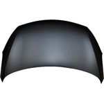Order Hood Panel Assembly - KI1230132C For Your Vehicle