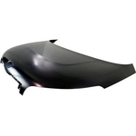 Order Hood Panel Assembly - KI1230133 For Your Vehicle