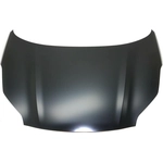 Order Hood Panel Assembly - KI1230141 For Your Vehicle