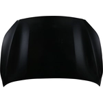 Order Hood Panel Assembly - KI1230144 For Your Vehicle