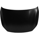 Order Hood Panel Assembly - KI1230144C For Your Vehicle