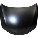 Order Hood Panel Assembly - LX1230107 For Your Vehicle