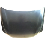 Order Hood Panel Assembly - LX1230119 For Your Vehicle