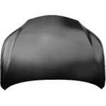 Order Hood Panel Assembly - LX1230130C For Your Vehicle