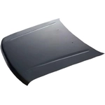 Order Hood Panel Assembly - NI1230148 For Your Vehicle