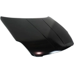 Order Hood Panel Assembly - NI1230168 For Your Vehicle