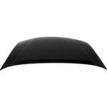 Order Hood Panel Assembly - NI1230170 For Your Vehicle