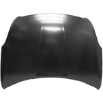 Order Hood Panel Assembly - NI1230173C For Your Vehicle