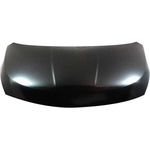 Order Hood Panel Assembly - NI1230174C For Your Vehicle