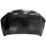 Order Hood Panel Assembly - NI1230195 For Your Vehicle