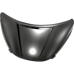 Order Hood Panel Assembly - NI1230210 For Your Vehicle