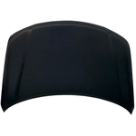 Order Hood Panel Assembly - NI1230214C For Your Vehicle