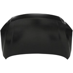 Order Hood Panel Assembly - NI1230217C For Your Vehicle