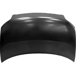 Order Hood Panel Assembly - SC1230104 For Your Vehicle