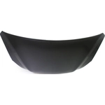 Order Hood Panel Assembly - SU1230137C For Your Vehicle