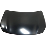 Order Hood Panel Assembly - SU1230148 For Your Vehicle