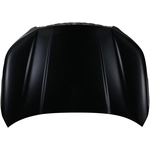 Order Hood Panel Assembly - SU1230156C For Your Vehicle
