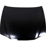 Order Hood Panel Assembly - TO1230169C For Your Vehicle