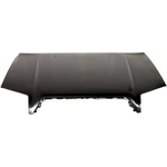 Order Hood Panel Assembly - TO1230193C For Your Vehicle