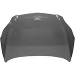 Order Hood Panel Assembly - TO1230212 For Your Vehicle