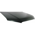 Order Hood Panel Assembly - TO1230219 For Your Vehicle
