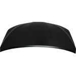 Order Hood Panel Assembly - TO1230249 For Your Vehicle