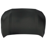 Order Hood Panel Assembly - TO1230252 For Your Vehicle