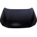 Order Hood Panel Assembly - TO1230253 For Your Vehicle