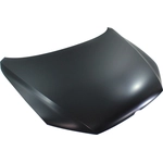 Order Hood Panel Assembly - VW1230144C For Your Vehicle