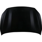 Order Hood - KI1230144C Capa Certified For Your Vehicle