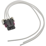 Order BLUE STREAK (HYGRADE MOTOR) - S656 - Connecteur de klaxon For Your Vehicle