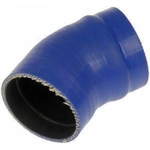 Order Hose by DORMAN (OE SOLUTIONS) - 904-212 For Your Vehicle