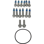 Order DORMAN (OE SOLUTIONS) - 966-002 - Axle Bolt For Your Vehicle