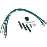 Order HVAC Blower Motor Resistor Harness by CROWN AUTOMOTIVE JEEP REPLACEMENT - 5102406AA For Your Vehicle