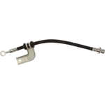 Order Hydraulic Clutch Hose by RAYBESTOS - BH380187 For Your Vehicle