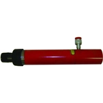 Order Hydraulic Jack by RODAC - T03104B For Your Vehicle