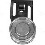 Order Idler Or Tensioner Pulley by FOUR SEASONS - 45965 For Your Vehicle