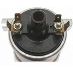 Order Ignition Coil by BLUE STREAK (HYGRADE MOTOR) - UF366 For Your Vehicle