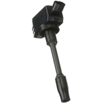 Order DELPHI - GN10960 - Ignition Coil For Your Vehicle