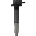 Order DELPHI - GN11121 - Ignition Coil For Your Vehicle