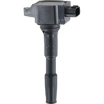 Order Ignition Coil by DELPHI - GN11148 For Your Vehicle